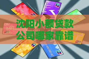 沈阳小额贷款公司哪家靠谱?真实测评+避坑指南 沈阳小额贷款公司哪家靠谱?真实测评+避坑指南