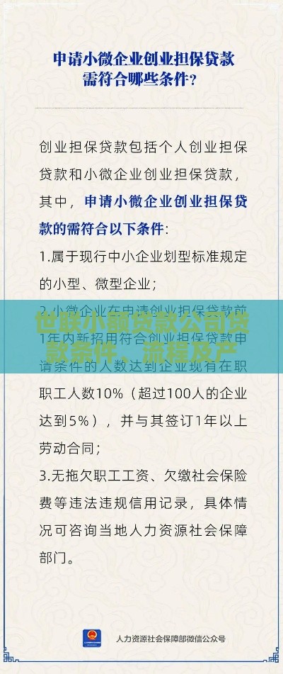 世联小额贷款公司贷款条件、流程及产品解析