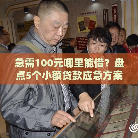 急需100元哪里能借？盘点5个小额贷款应急方案