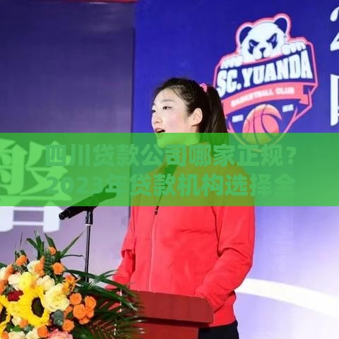 四川贷款公司哪家正规？2023年贷款机构选择全攻略