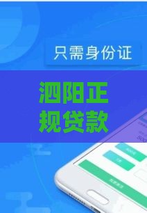 泗阳正规贷款公司推荐：如何选择安全可靠的借贷服务？