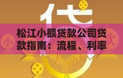 松江小额贷款公司贷款指南：流程、利率与避坑技巧