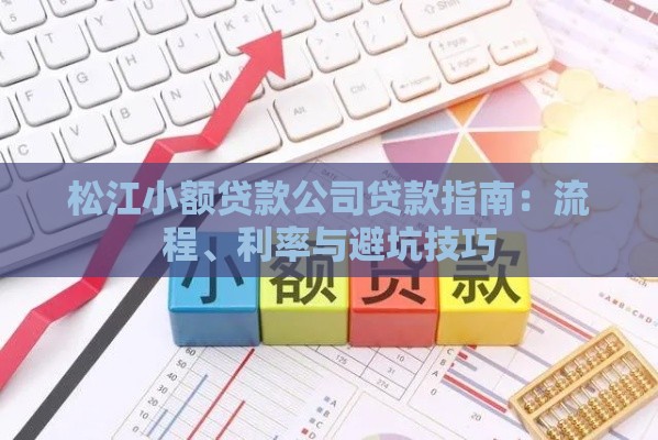松江小额贷款公司贷款指南：流程、利率与避坑技巧