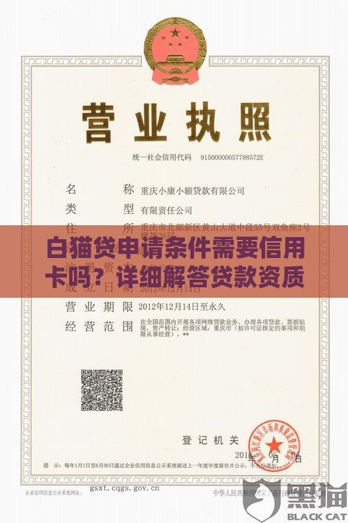 白猫贷申请条件需要信用卡吗？详细解答贷款资质要求