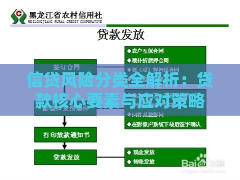 信贷风险分类全解析：贷款核心要素与应对策略