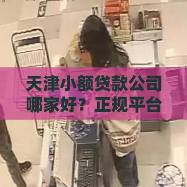 天津小额贷款公司哪家好？正规平台选择指南及办理流程解析