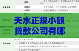 天水正规小额贷款公司有哪些？5家靠谱机构推荐+申请条件解析