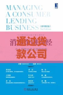 通过贷款公司贷款全流程解析：优势、风险与申请指南