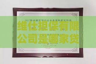 维仕担保有限公司是哪家贷款？贷款产品与资质解析