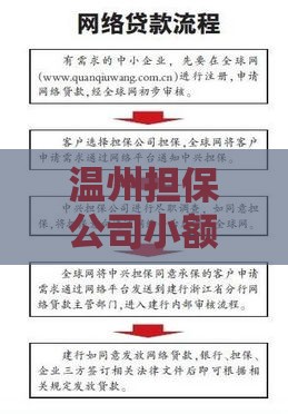 温州担保公司小额贷款申请条件及流程详解