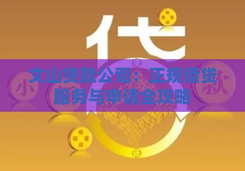 文山贷款公司：正规借贷服务与申请全攻略