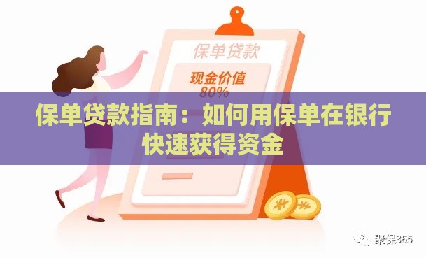 保单贷款指南：如何用保单在银行快速获得资金