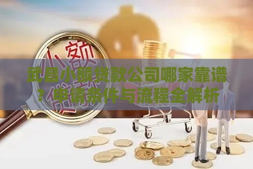 武昌小额贷款公司哪家靠谱？申请条件与流程全解析