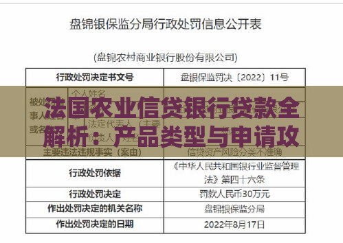 法国农业信贷银行贷款全解析：产品类型与申请攻略