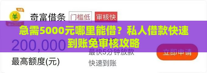 急需5000元哪里能借？私人借款快速到账免审核攻略