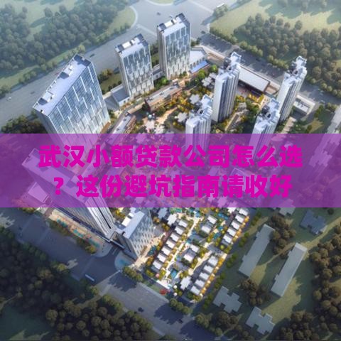 武汉小额贷款公司怎么选？这份避坑指南请收好