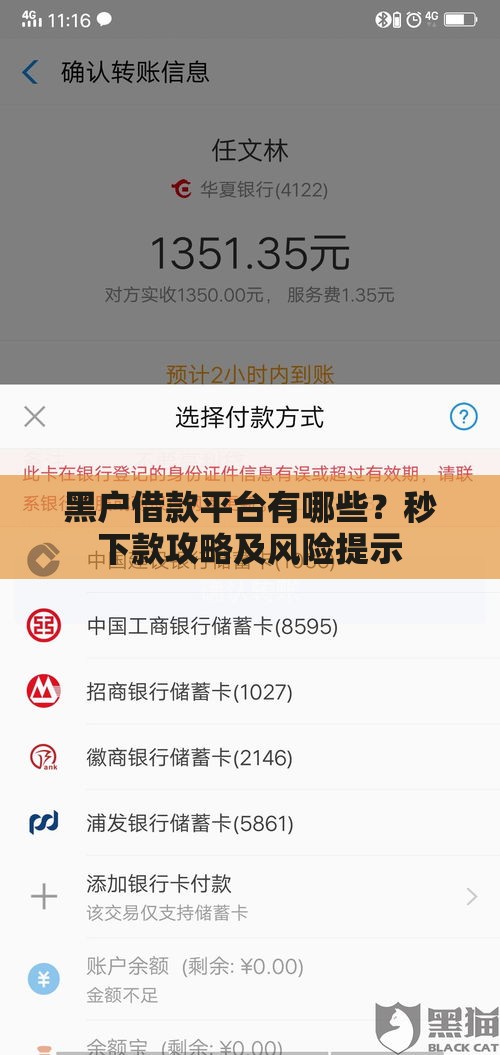 黑户借款平台有哪些？秒下款攻略及风险提示
