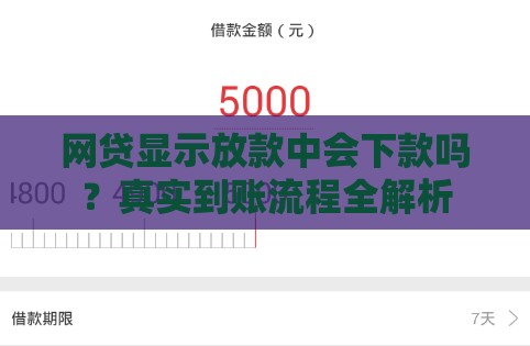 网贷显示放款中会下款吗？真实到账流程全解析