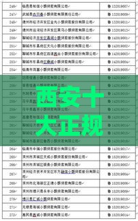 西安十大正规小额贷款公司排名及选择攻略