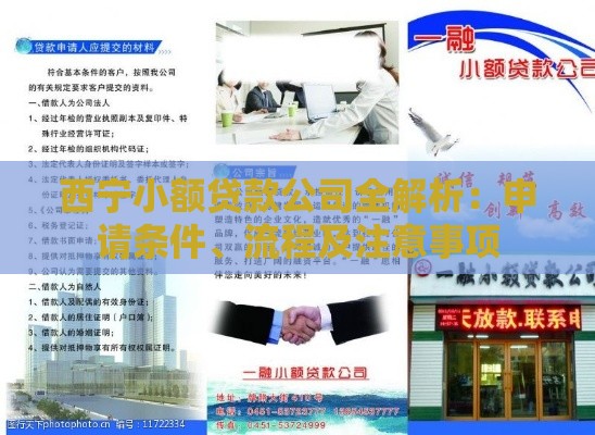 西宁小额贷款公司全解析：申请条件、流程及注意事项