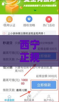 西宁正规贷款公司推荐：快速放款、低息借贷攻略
