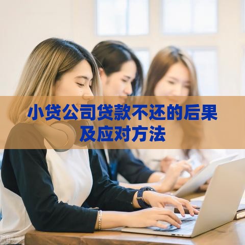 小贷公司贷款不还的后果及应对方法