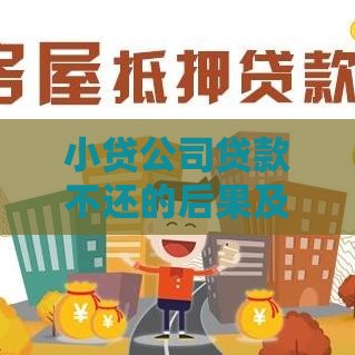 小贷公司贷款不还的后果及应对方法