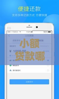 小额贷款哪个平台放款最快？2023急速到账平台推荐