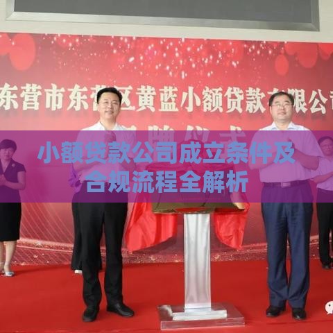 小额贷款公司成立条件及合规流程全解析