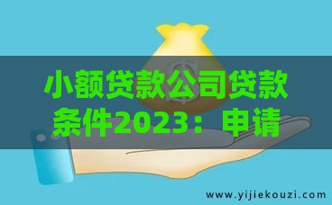 小额贷款公司贷款条件2023：申请必看10大核心要求