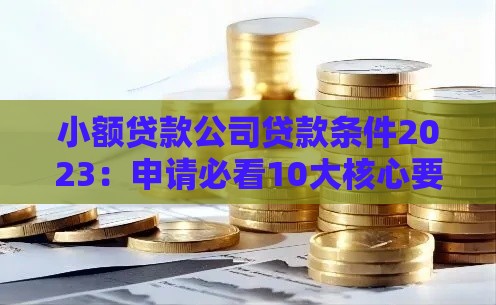 小额贷款公司贷款条件2023：申请必看10大核心要求