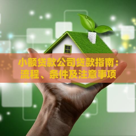 小额贷款公司贷款指南：流程、条件及注意事项