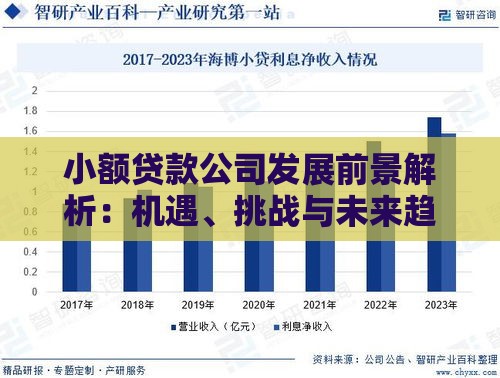 小额贷款公司发展前景解析：机遇、挑战与未来趋势