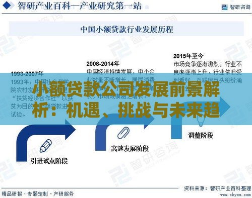 小额贷款公司发展前景解析：机遇、挑战与未来趋势