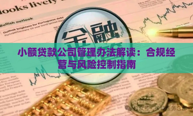 小额贷款公司管理办法解读：合规经营与风险控制指南
