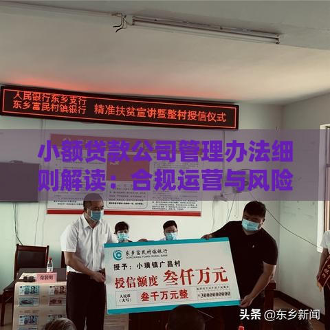 小额贷款公司管理办法细则解读：合规运营与风险控制