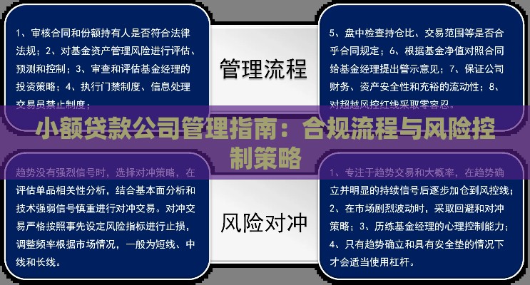 小额贷款公司管理指南:合规流程与风险控制策略 小额贷款公司管理指南:合规流程与风险控制策略