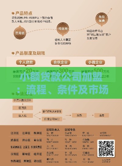 小额贷款公司加盟：流程、条件及市场前景深度解析