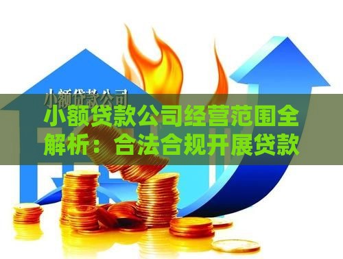 小额贷款公司经营范围全解析：合法合规开展贷款业务的必备指南