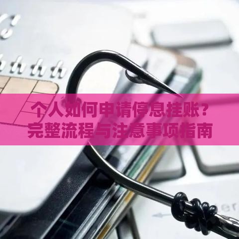 个人如何申请停息挂账？完整流程与注意事项指南