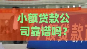 小额贷款公司靠谱吗？申请前必看的5个真相