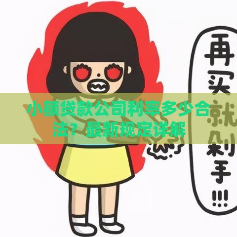 小额贷款公司利率多少合法？最新规定详解