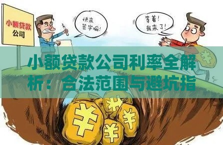 小额贷款公司利率全解析：合法范围与避坑指南