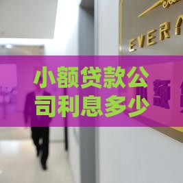 小额贷款公司利息多少？合法范围及计算方式全解析