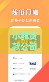 小额贷款公司哪家靠谱？5大关键点教你快速解决资金难题