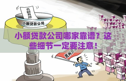 小额贷款公司哪家靠谱？这些细节一定要注意！