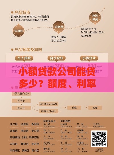 小额贷款公司能贷多少?额度、利率、条件全解析 小额贷款公司能贷多少?额度、利率、条件全解析