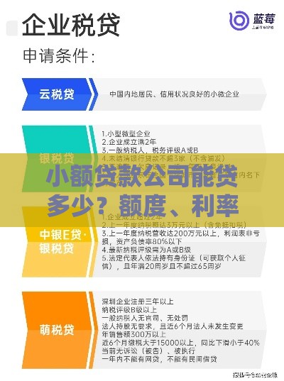 小额贷款公司能贷多少?额度、利率、条件全解析 小额贷款公司能贷多少?额度、利率、条件全解析