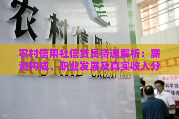 农村信用社信贷员待遇解析：薪资构成、职业发展及真实收入分析