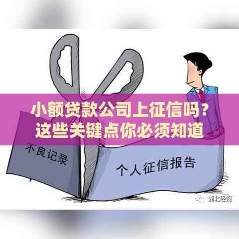 小额贷款公司上征信吗？这些关键点你必须知道